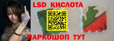 ПСИЛОЦИБИНОВЫЕ ГРИБЫ Можга
